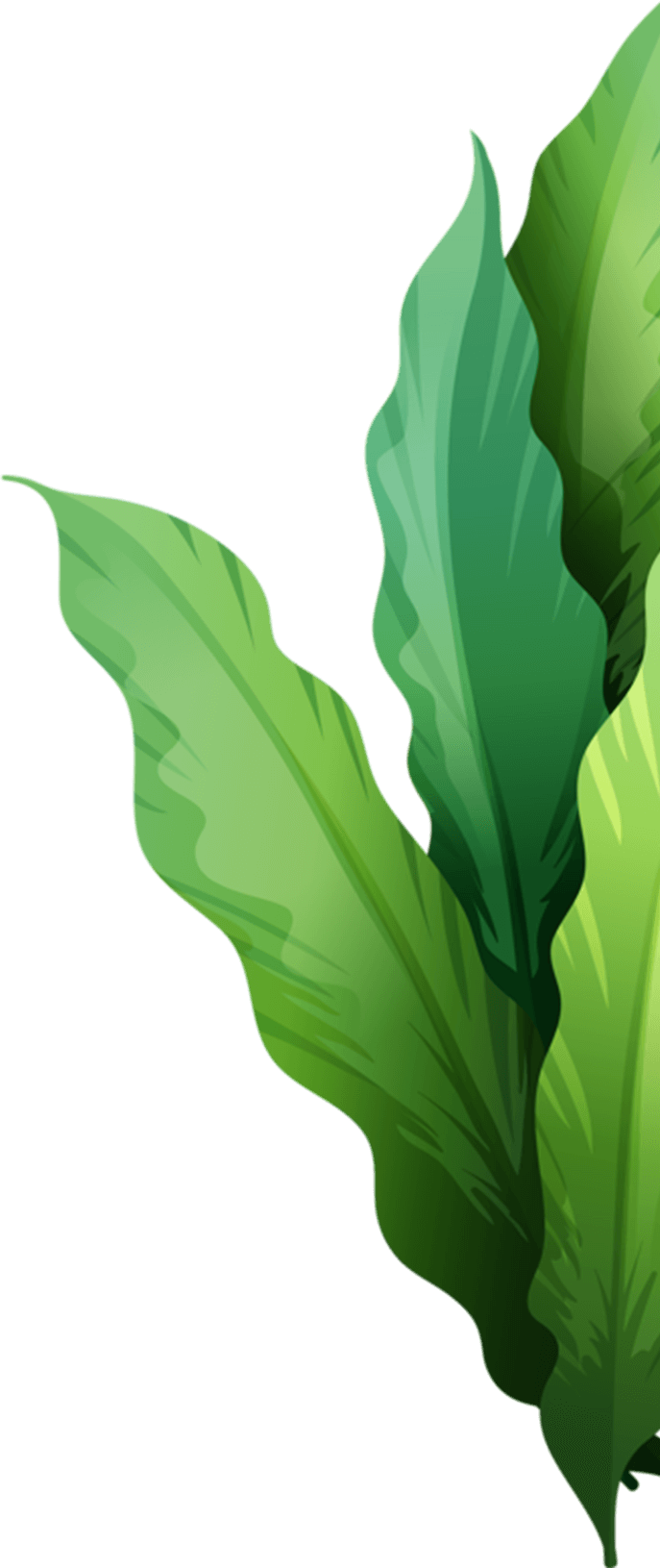 Agriculture consultancy in kenya